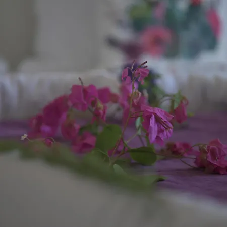 Kemerlihan Deluxe Otel 2*